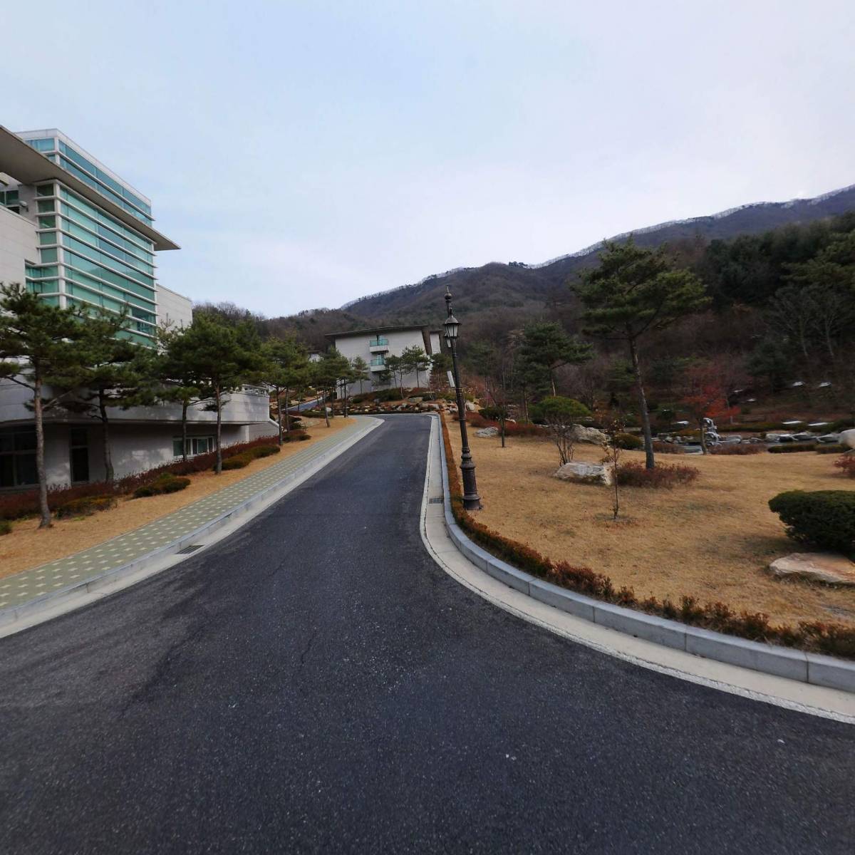 효정국제과학통일재단