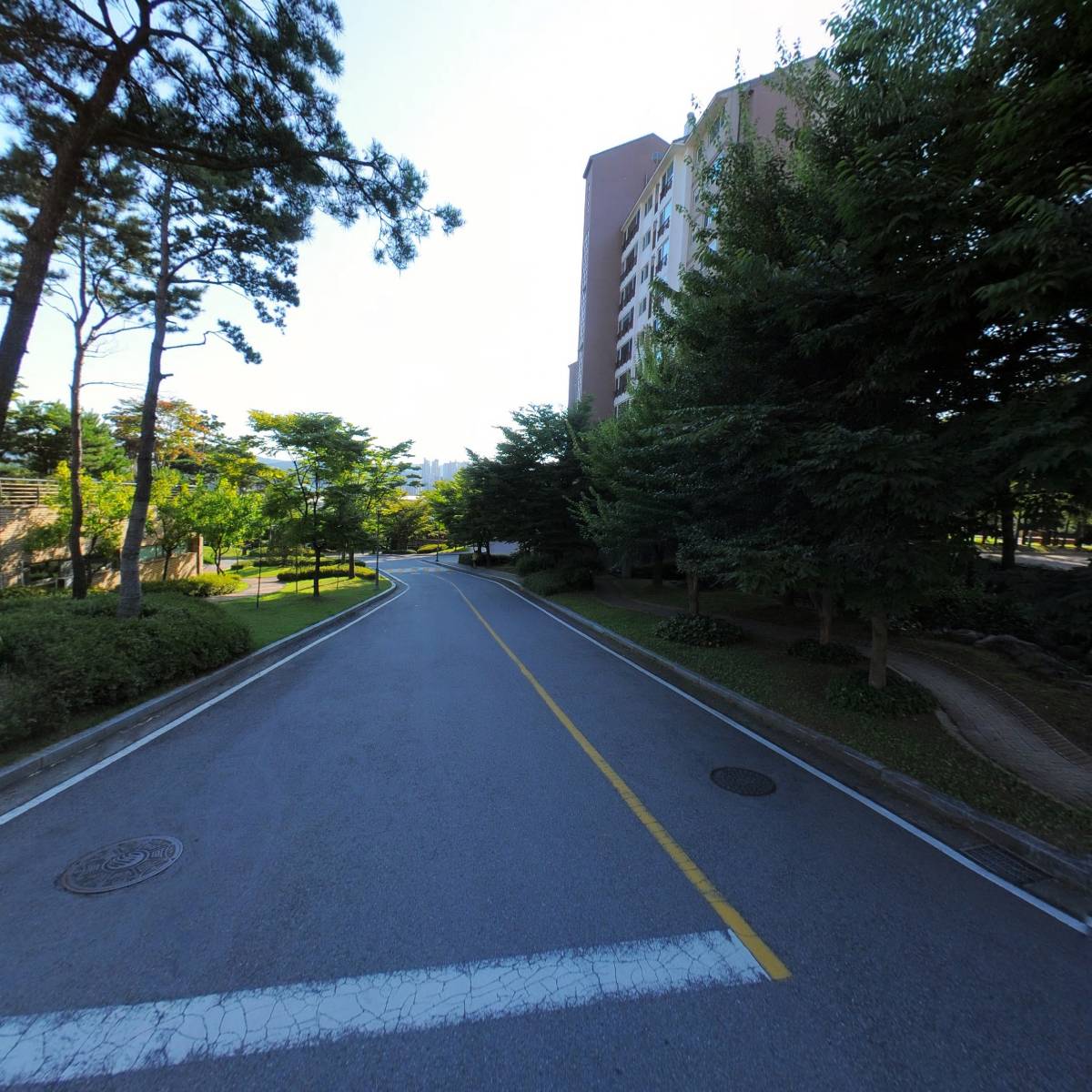 에이치에스홀딩스_2