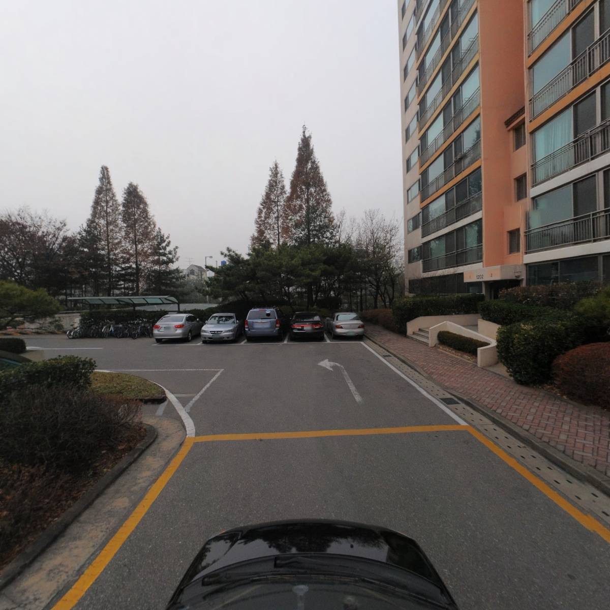 이룸나무_4