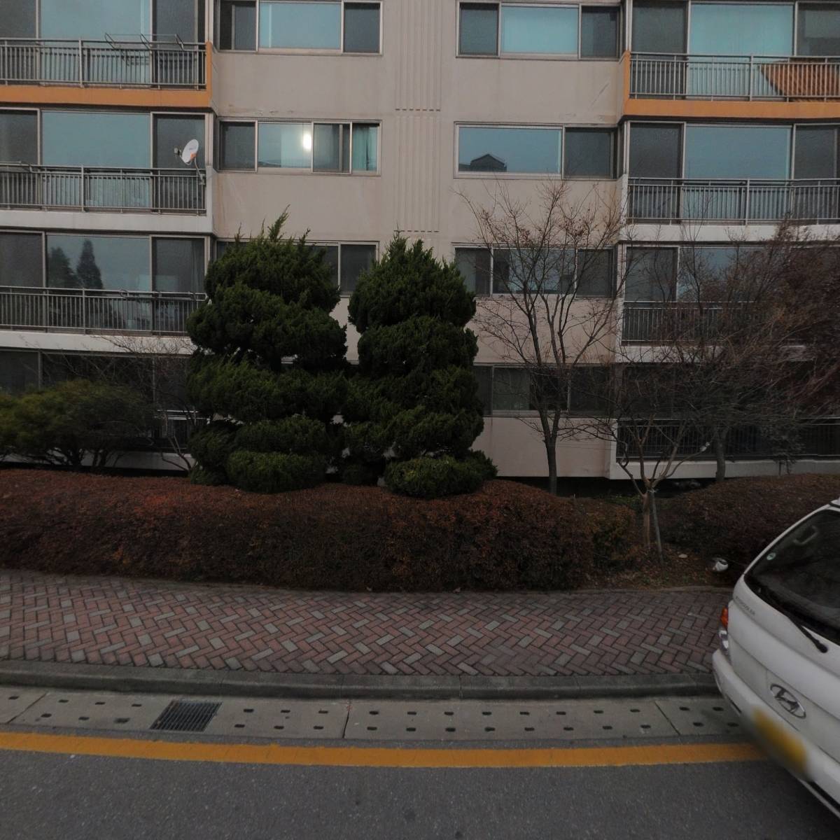 이룸나무