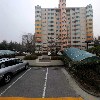 이룸나무_3