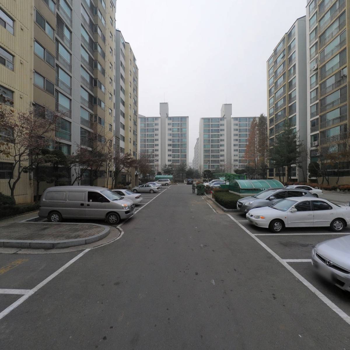 레아_2