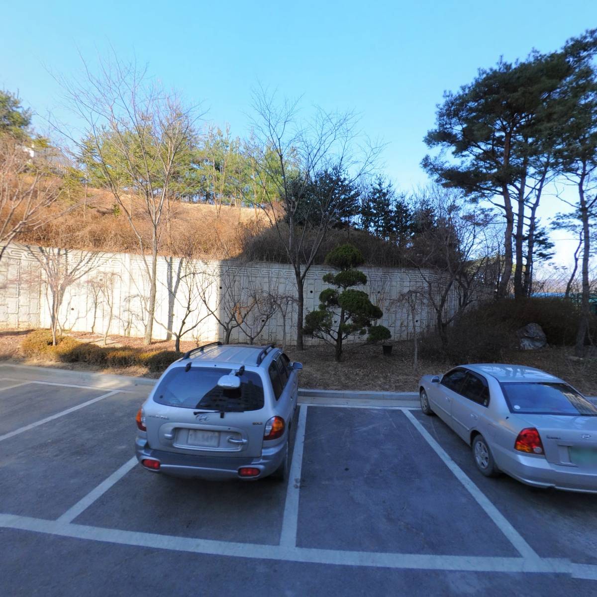 벨로비즈