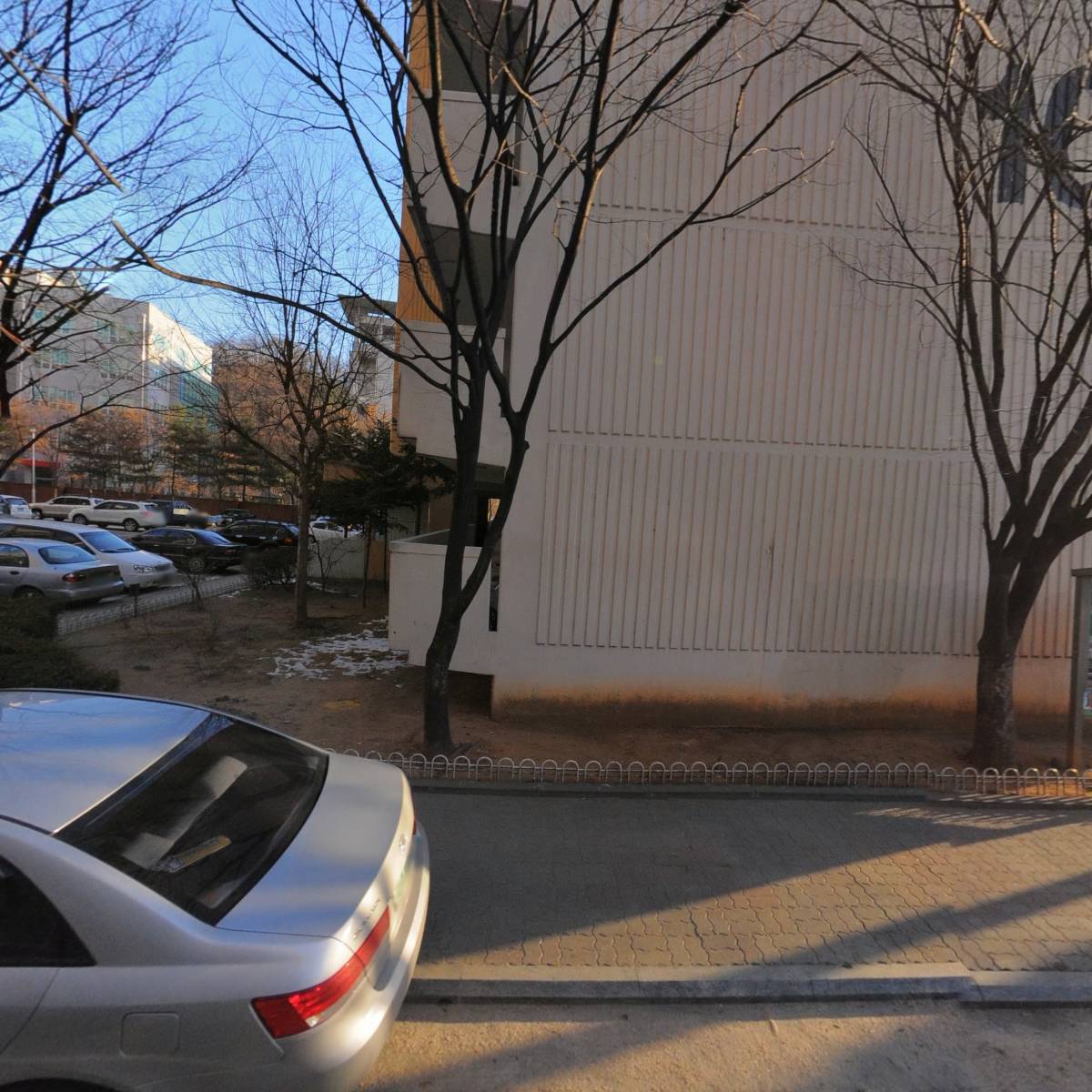 레인보우나무학교