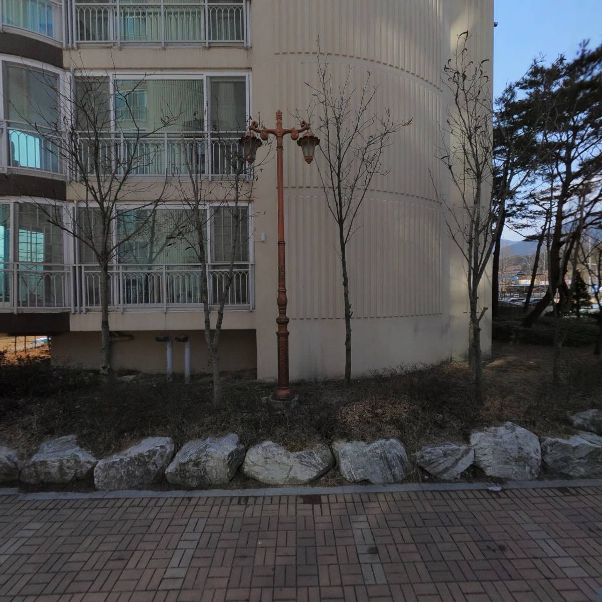 롱디_3