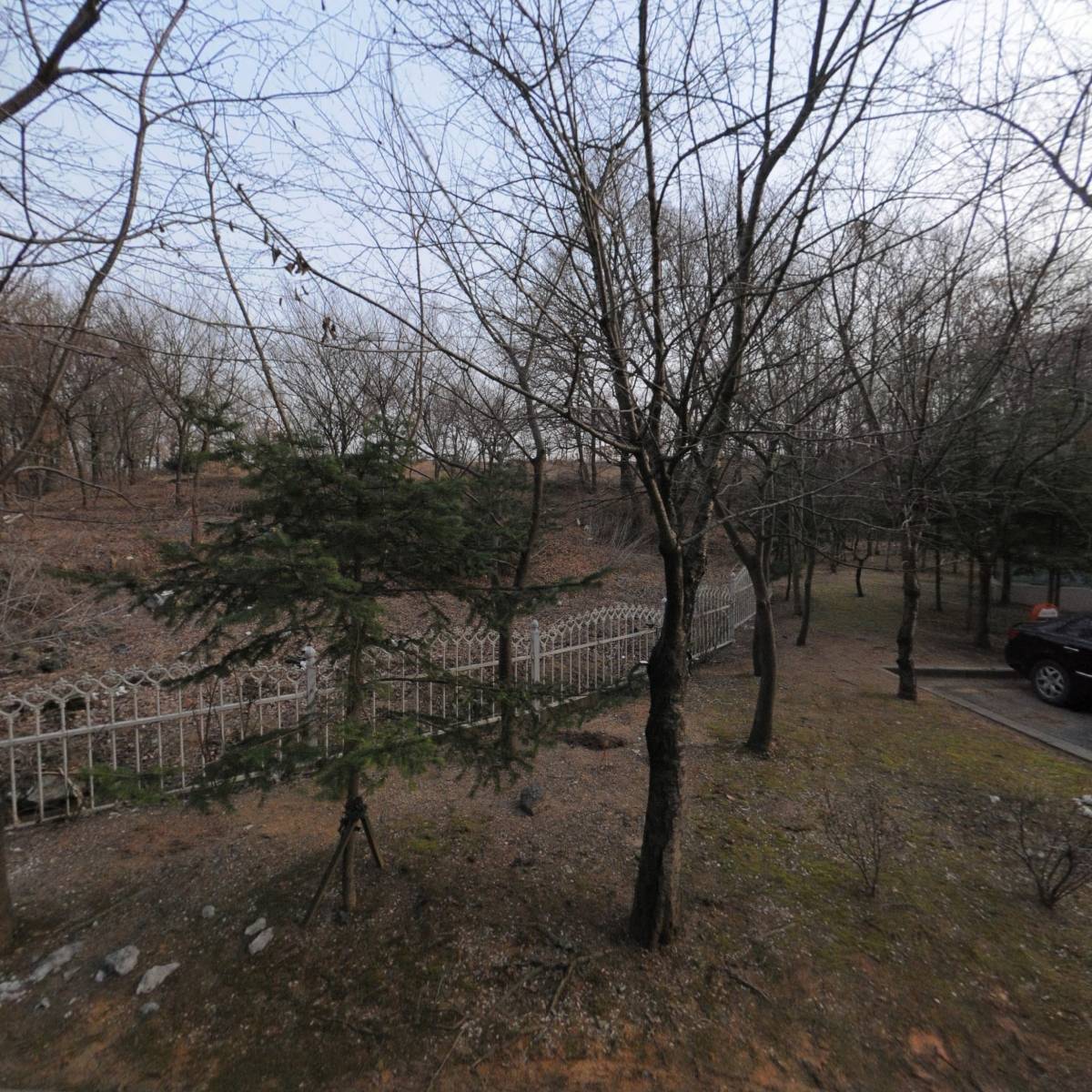애플파이 라이프_3