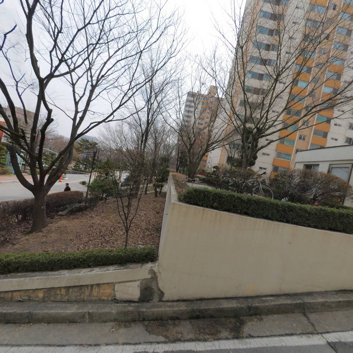 모하