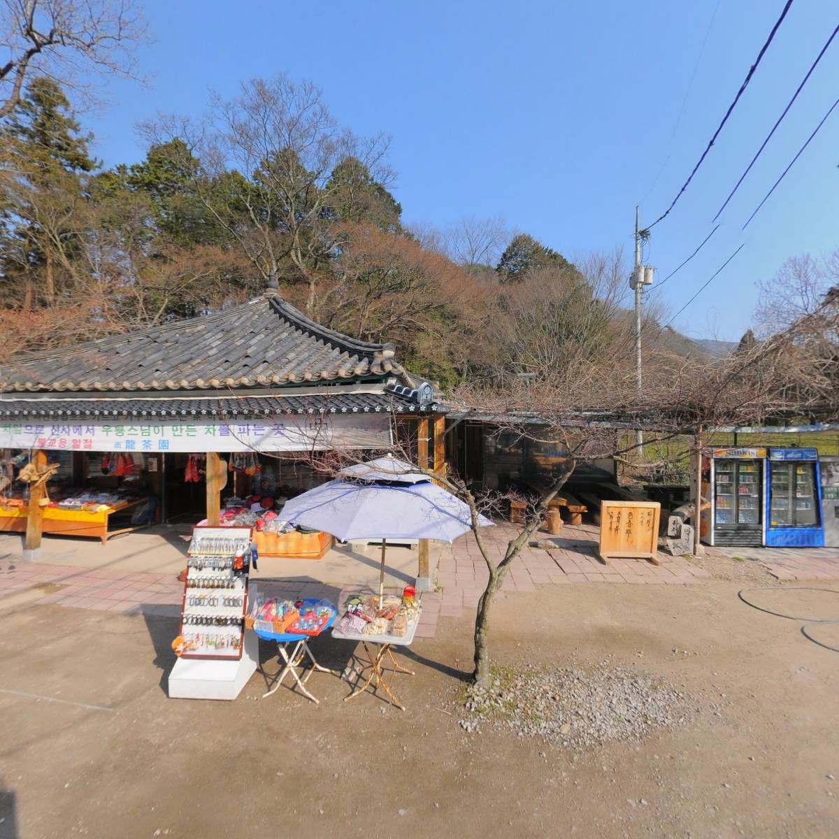 꽃무릇