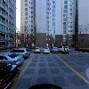 스칼렛_4