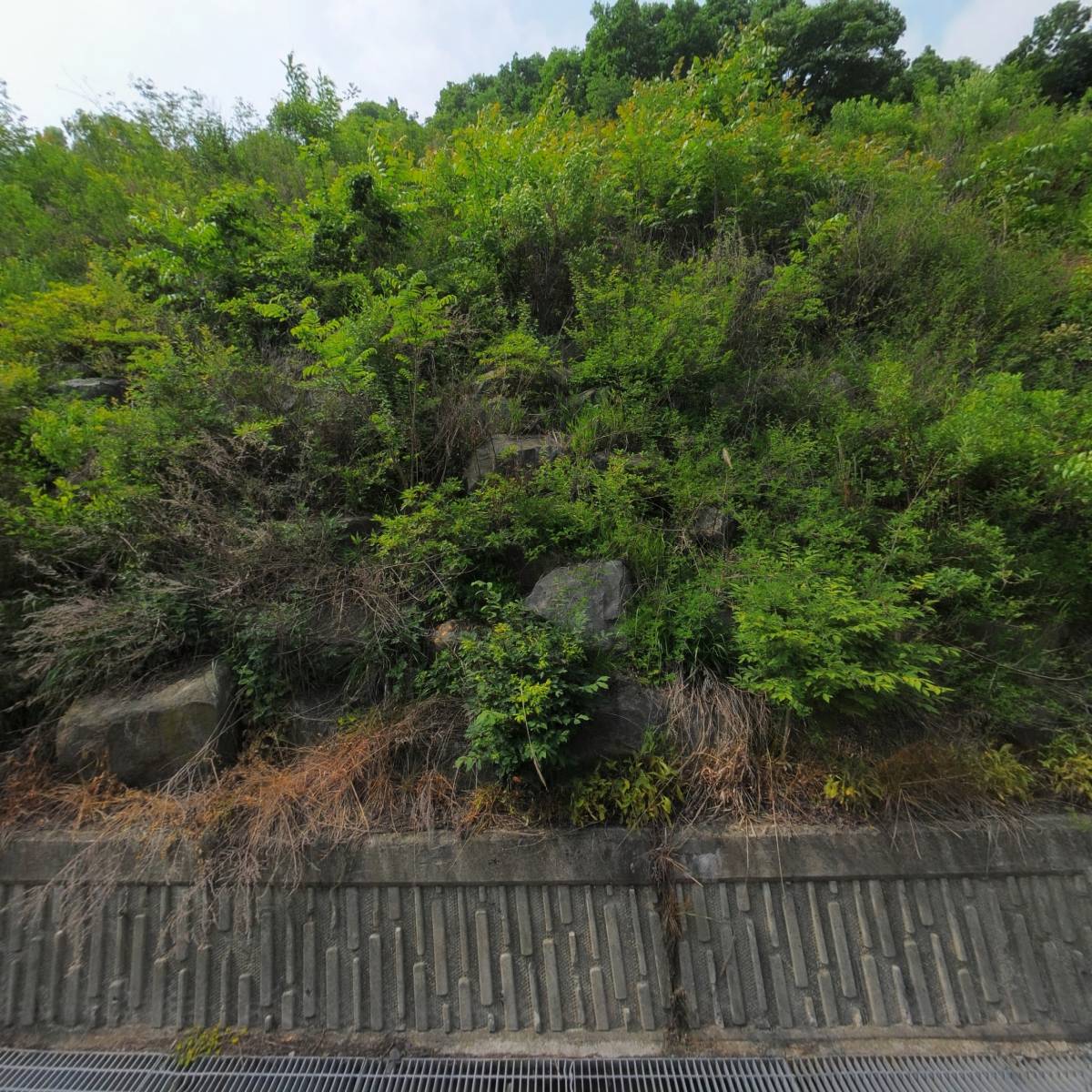 충남도립대학교 산학협력단_3