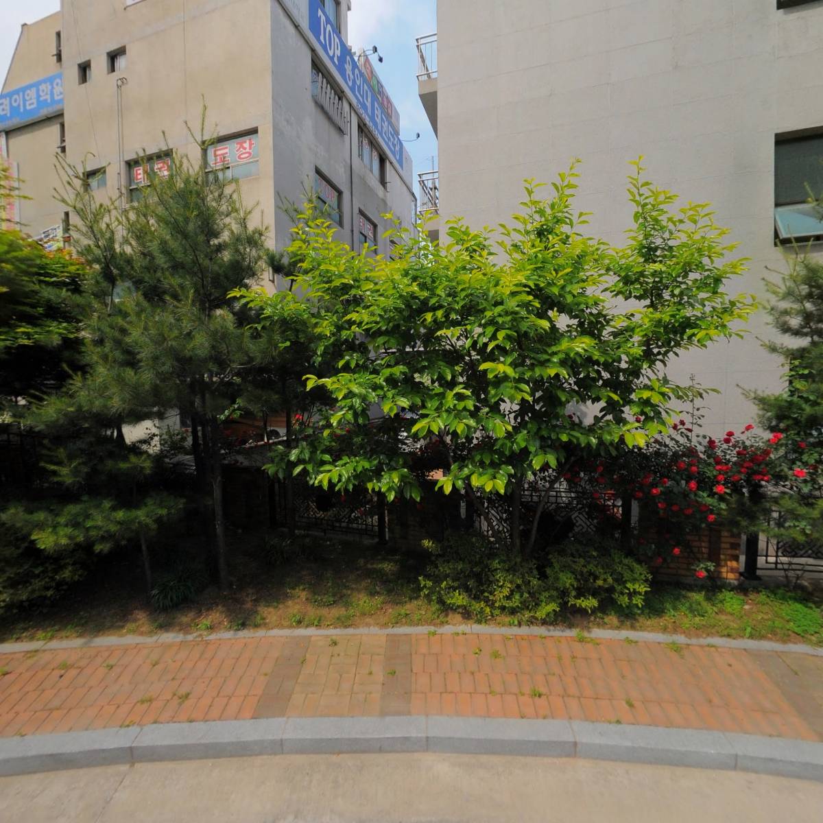 꿈을꾸는짬뽕