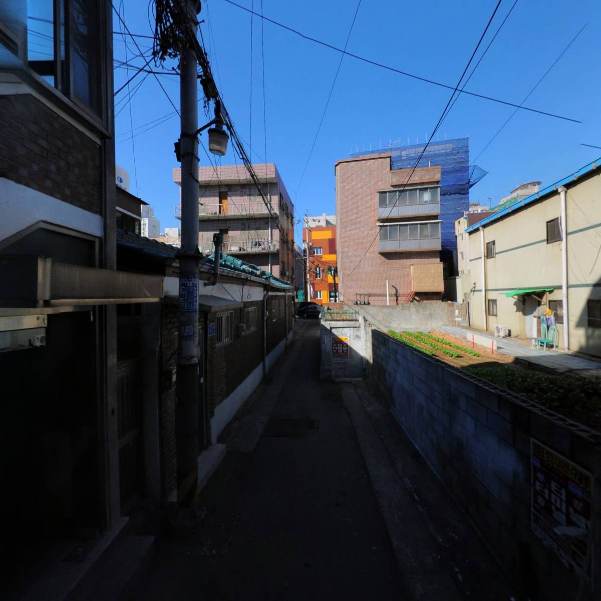 대영지주_2