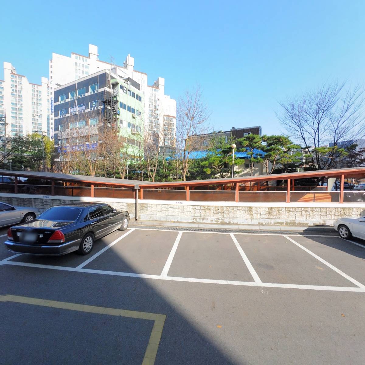 파차(phacha)