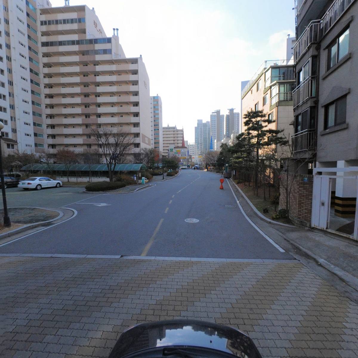 드가체프_4