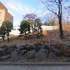 연세대학교총동문회_3