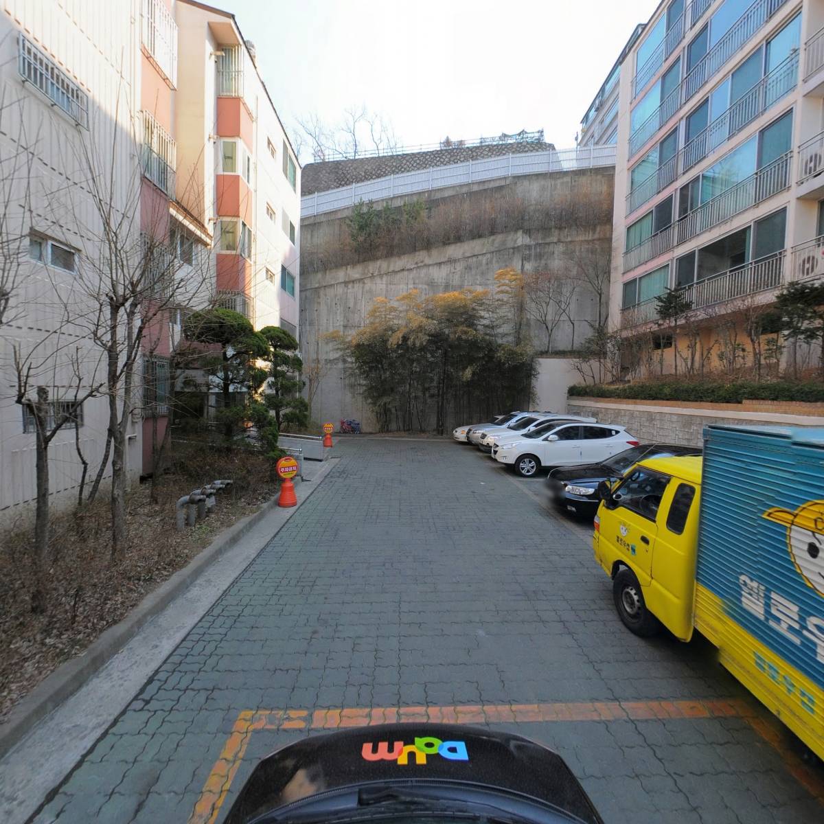 정성희작가_4