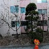 정성희작가_3