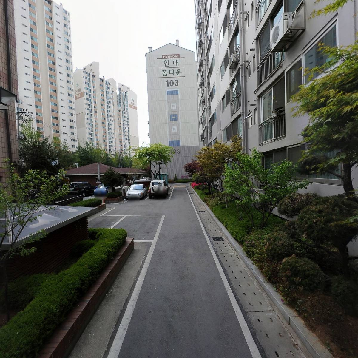 비둘기크레인_2