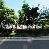 윤배네숯닭스토리(story)