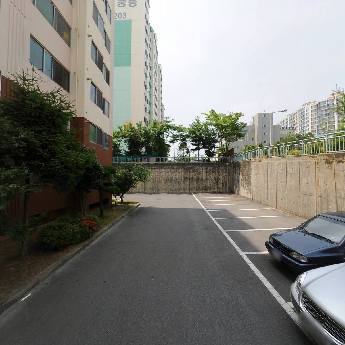 광주존슨_2