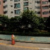 피티씨에스엠에스（PT CSMS LTD）_3