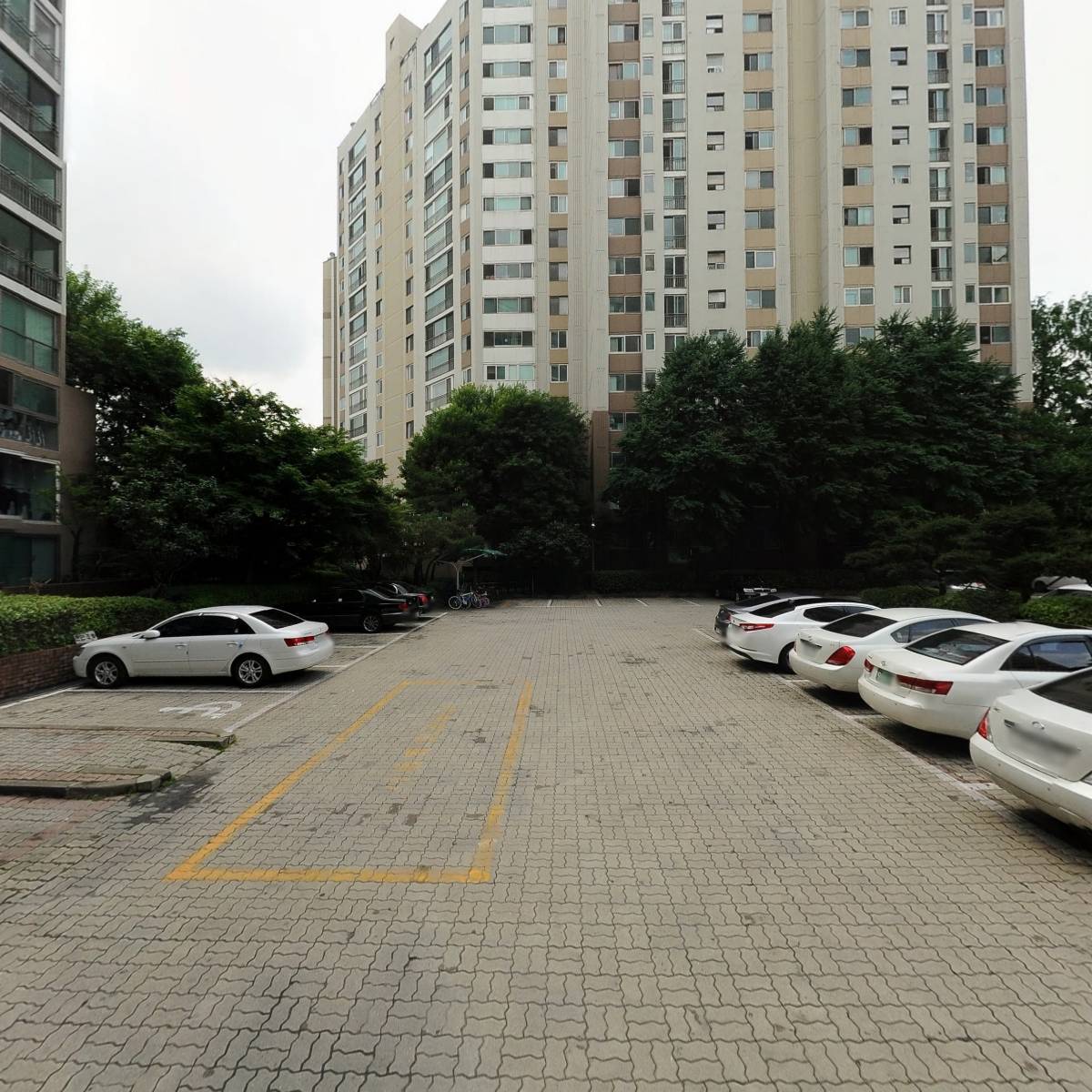 마젤커피_2