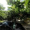 오마이카_3