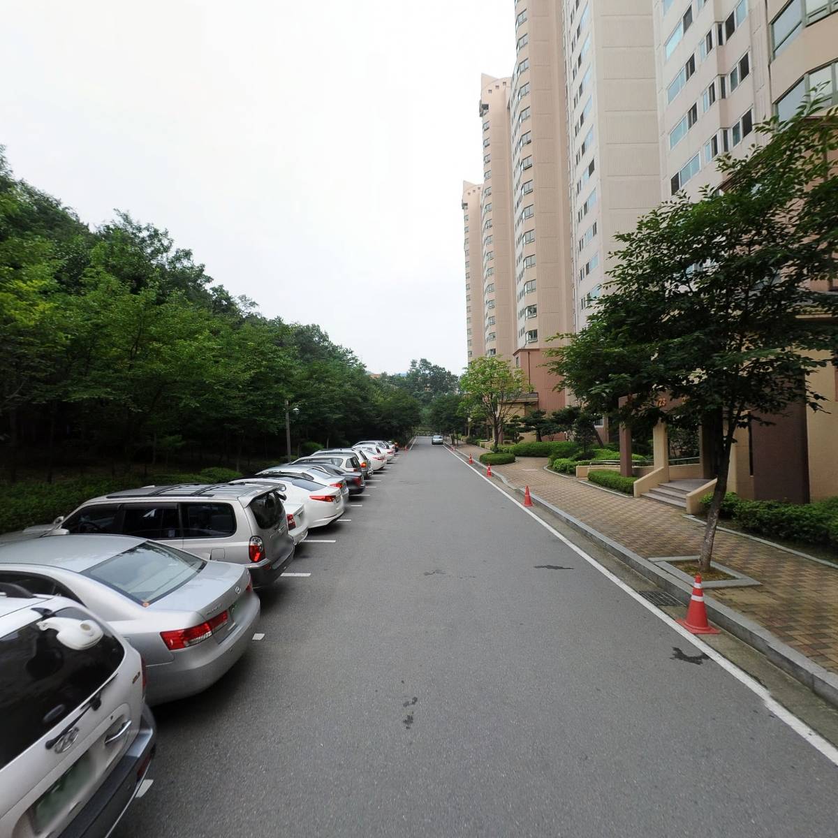 캐프와이퍼 경기총판_2