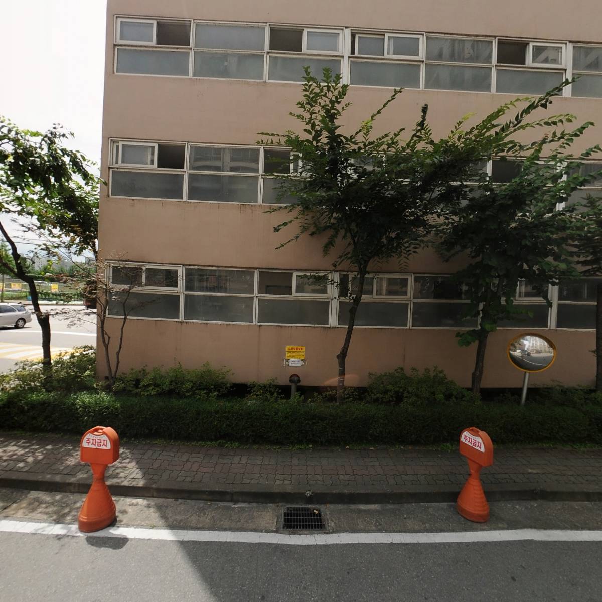 엘프언니