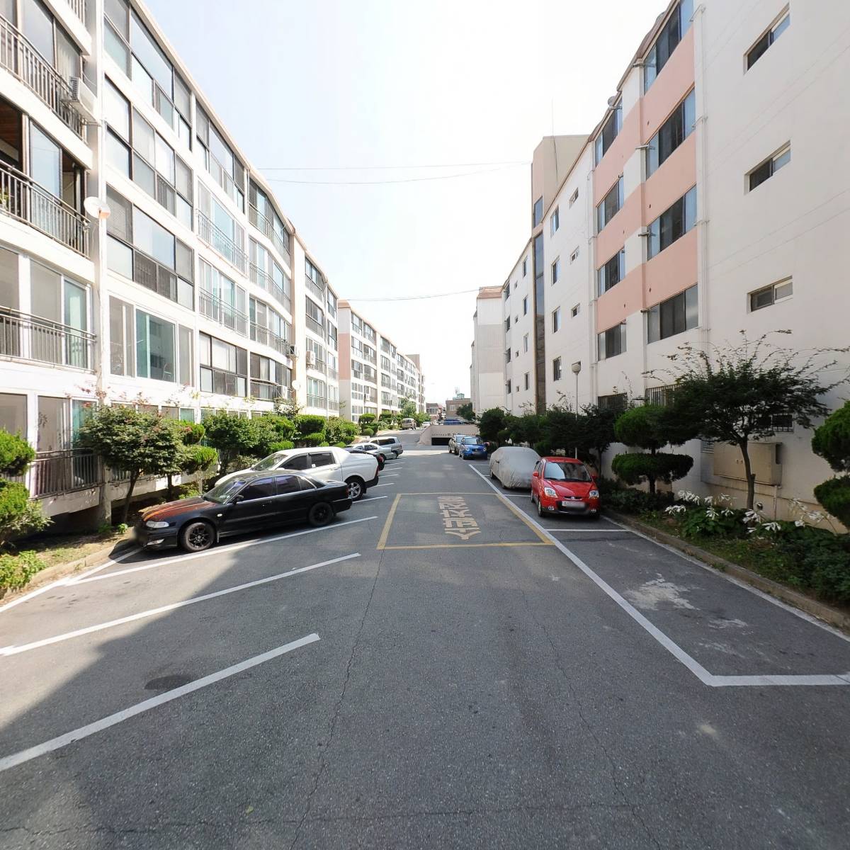 쏨이네 과일_2