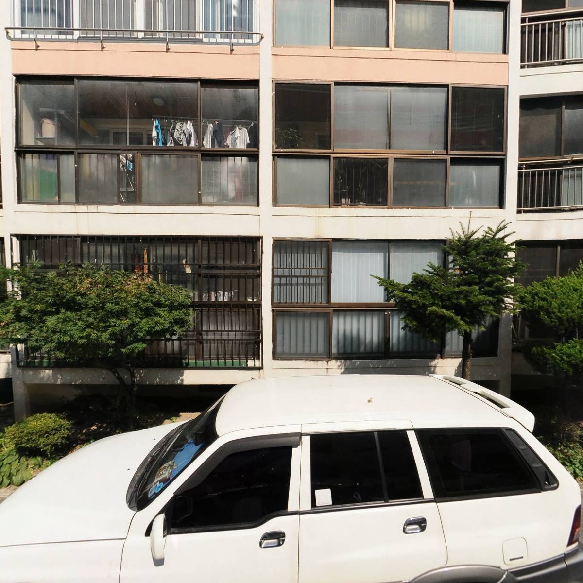 오비지