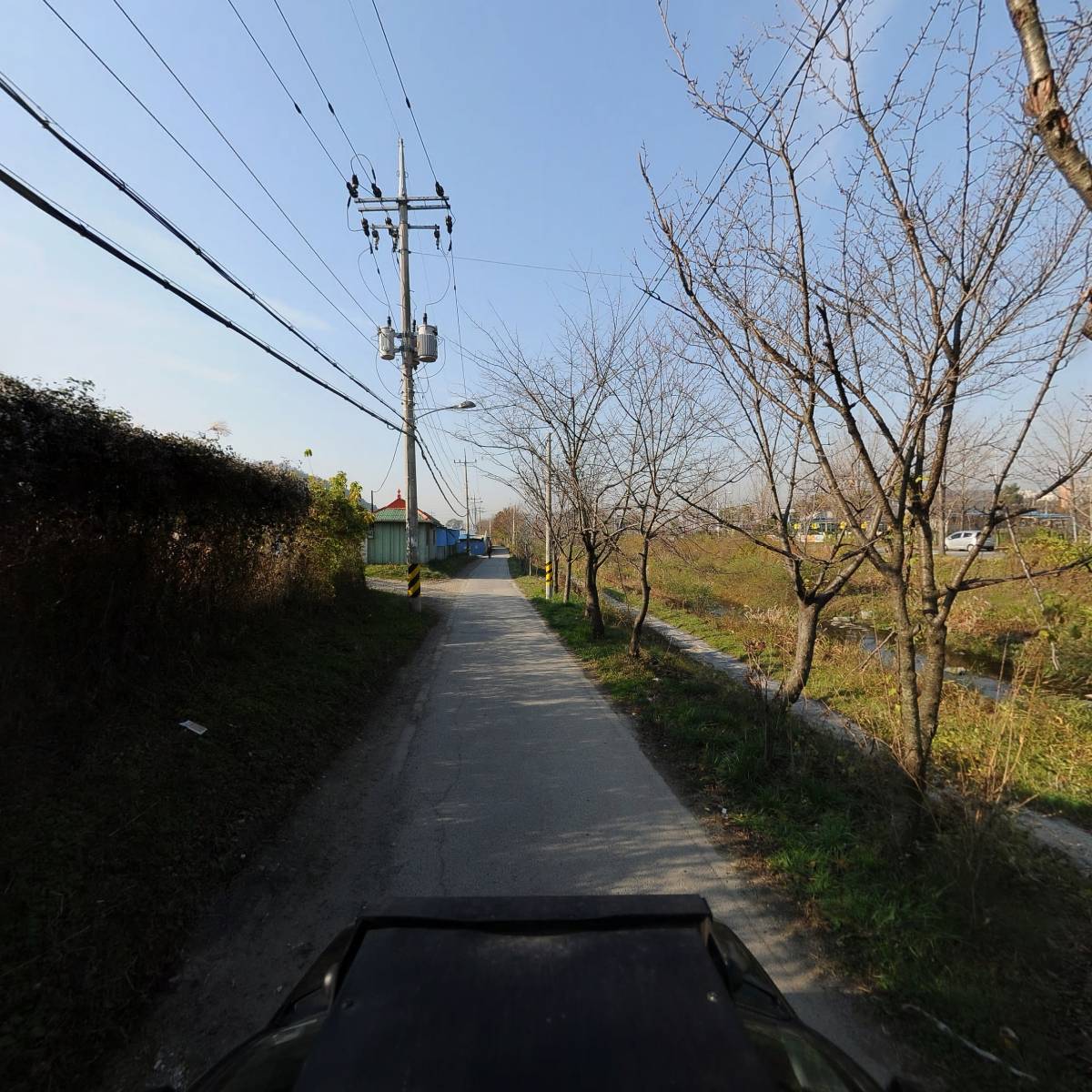 백향_4