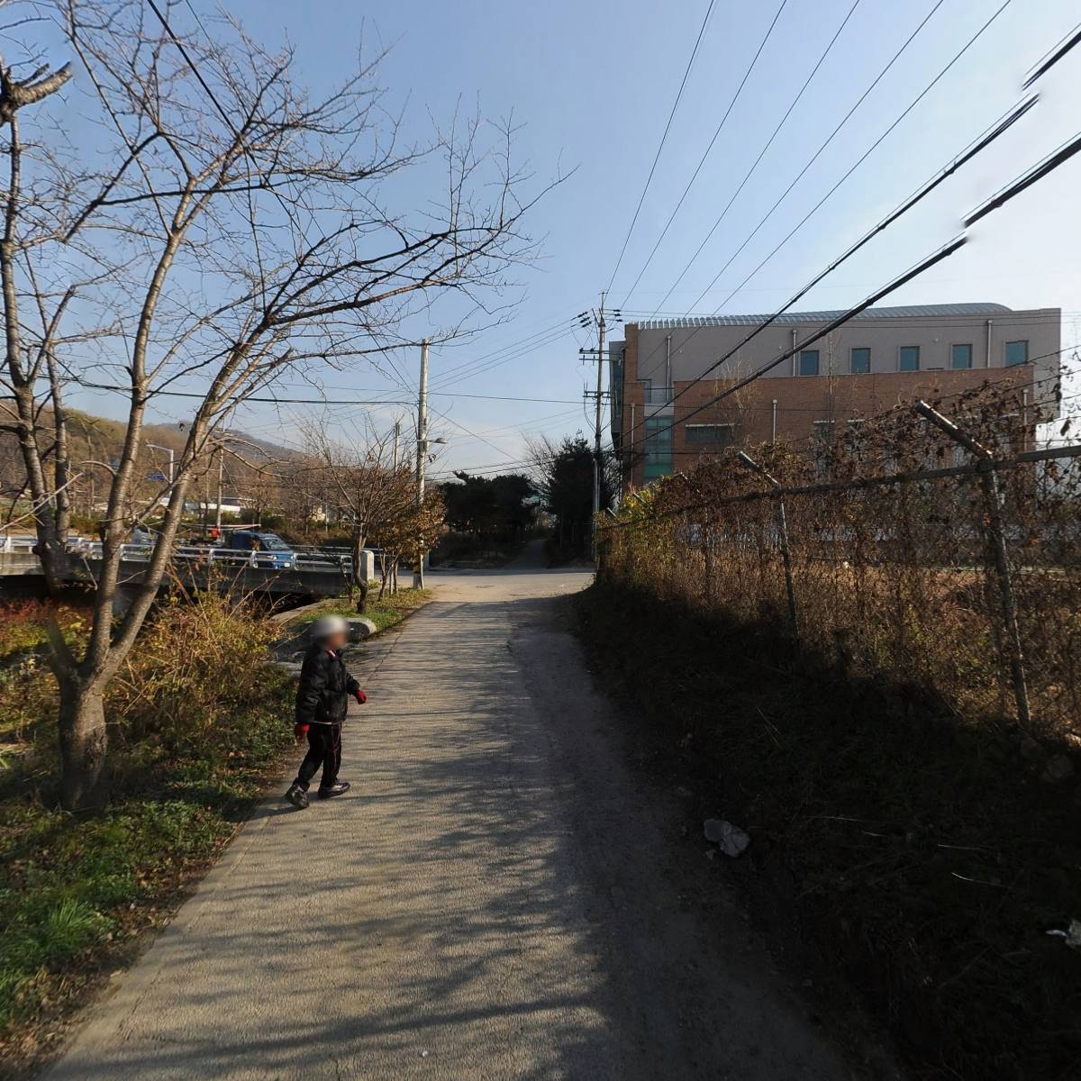백향_2