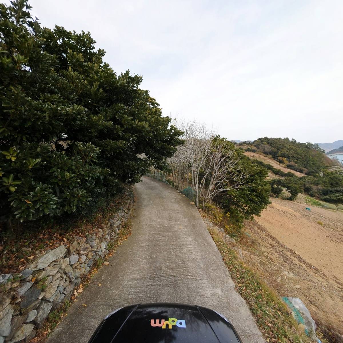 솔레이유_4