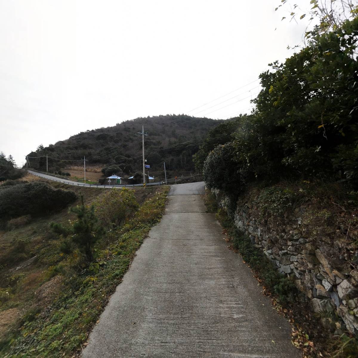 솔레이유_2