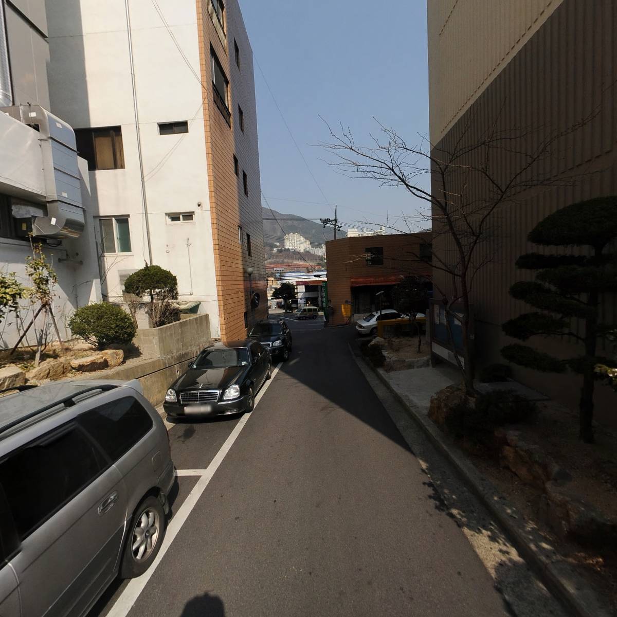 대한예수교장로회 백양로교회_2
