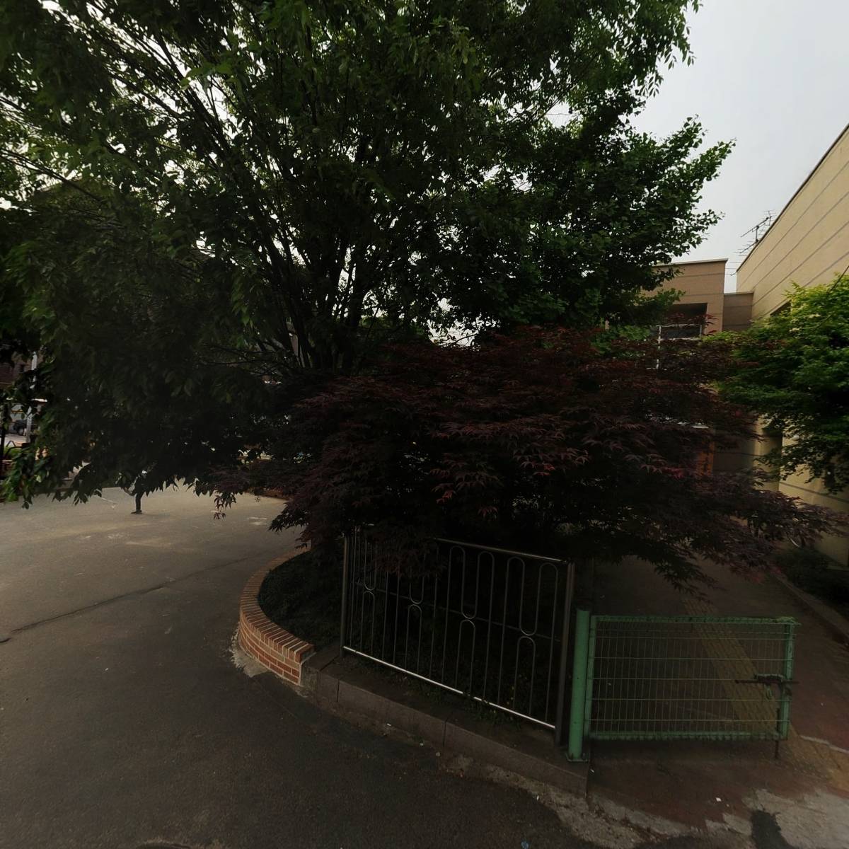 오씨엘 서보람