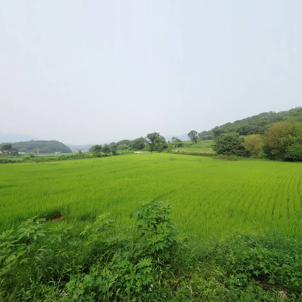 양문농장_3