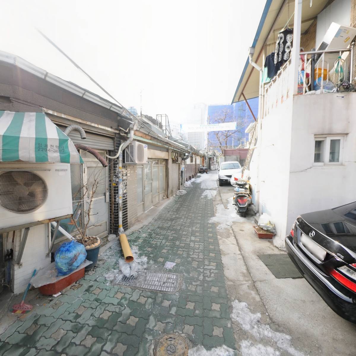 마츠노하나