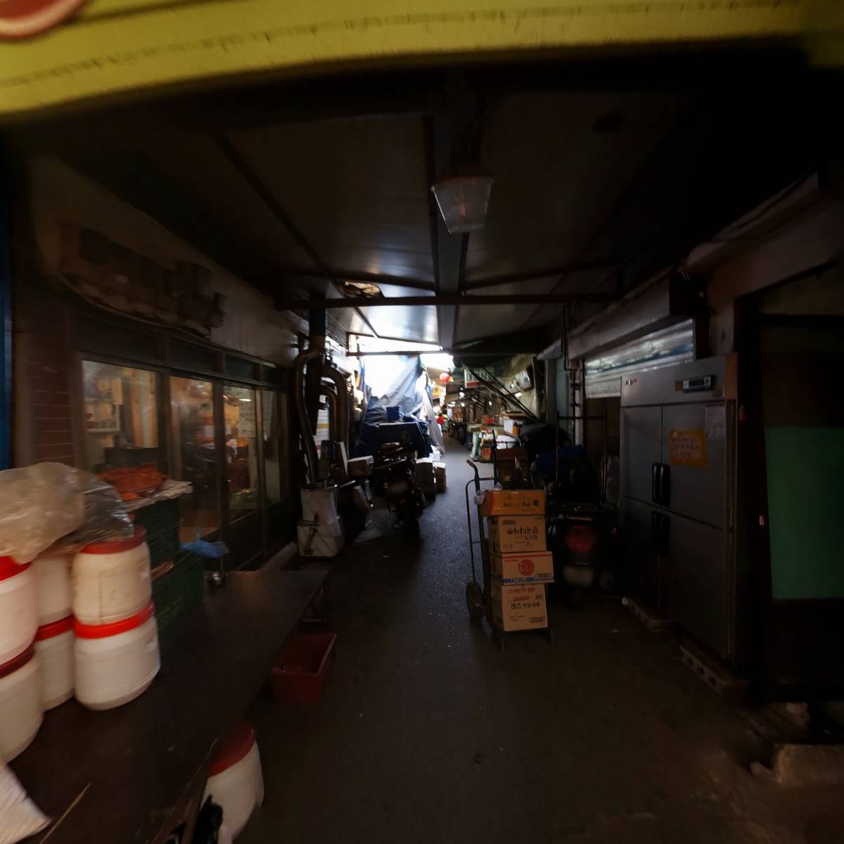 궁채_2