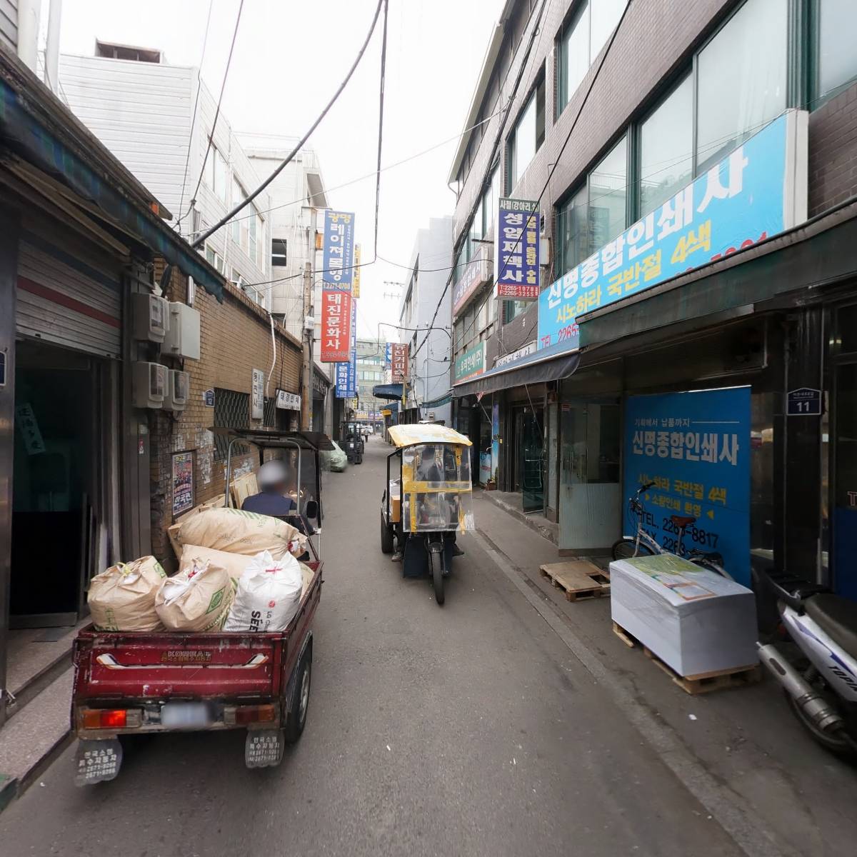 세종DnP_2