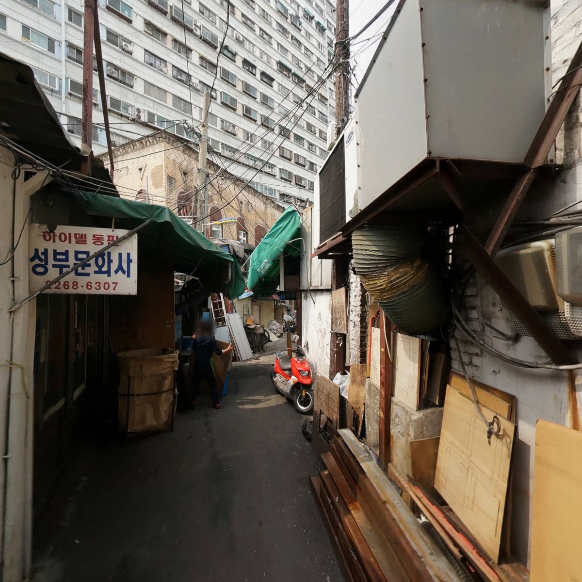 뉴욕애견번식장_2
