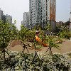 아이스크림에 빠지다 금호점
