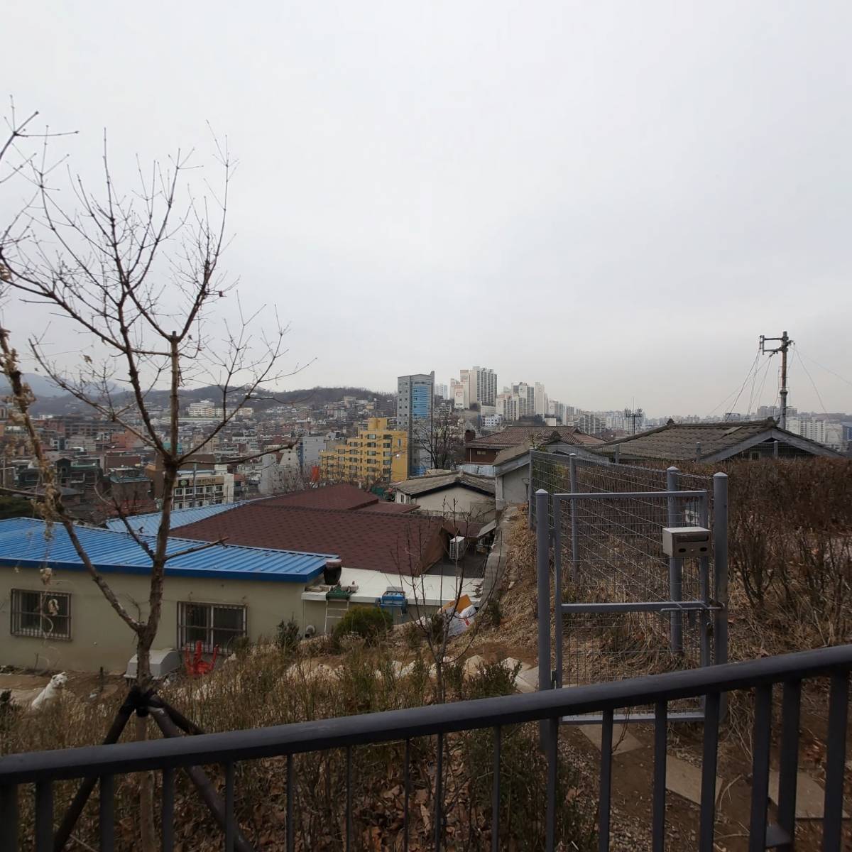 피자스쿨