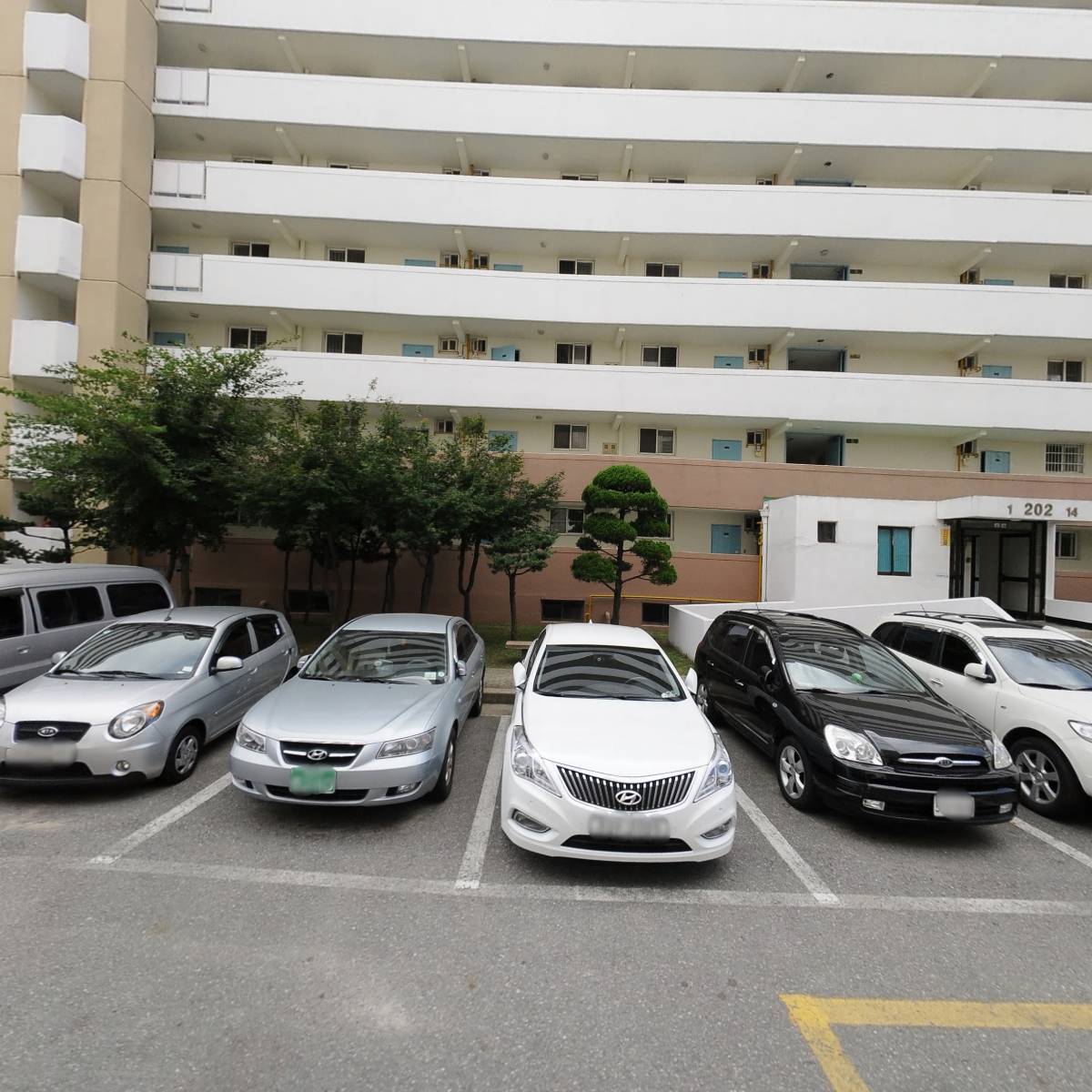 푸른제주