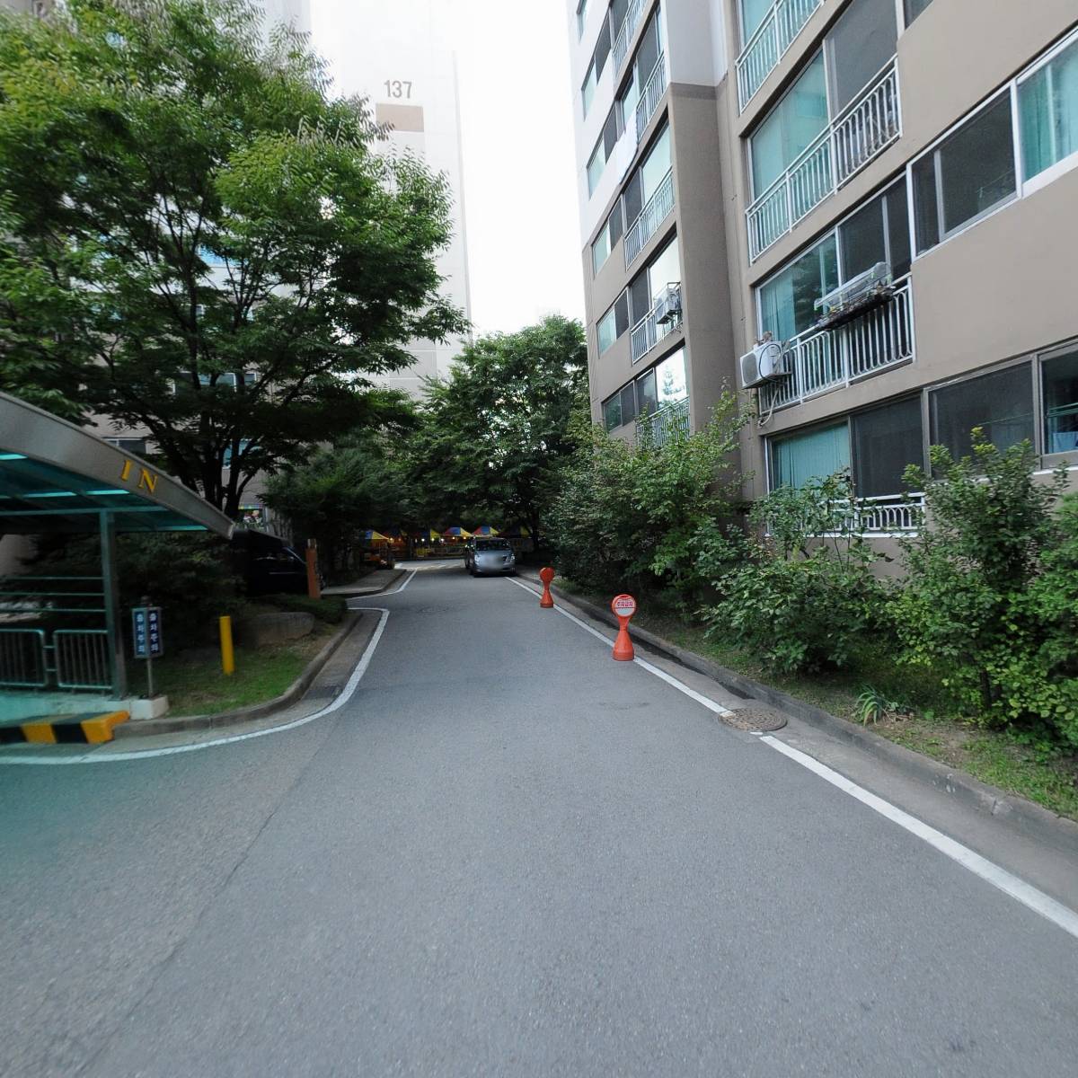 플라워윙_2