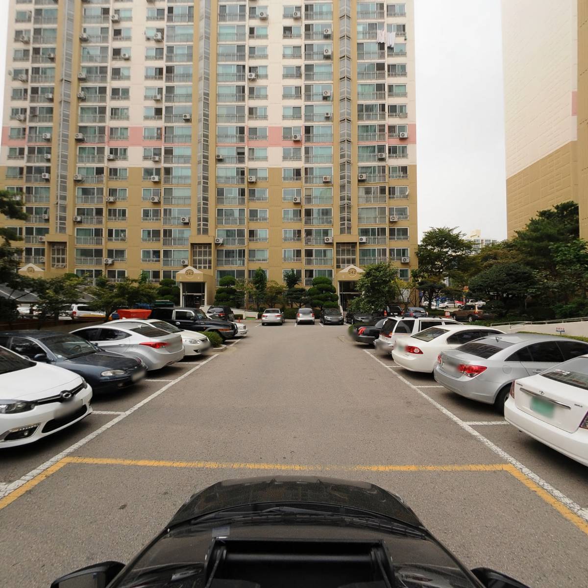 세나뷰티(sena beauty)_4