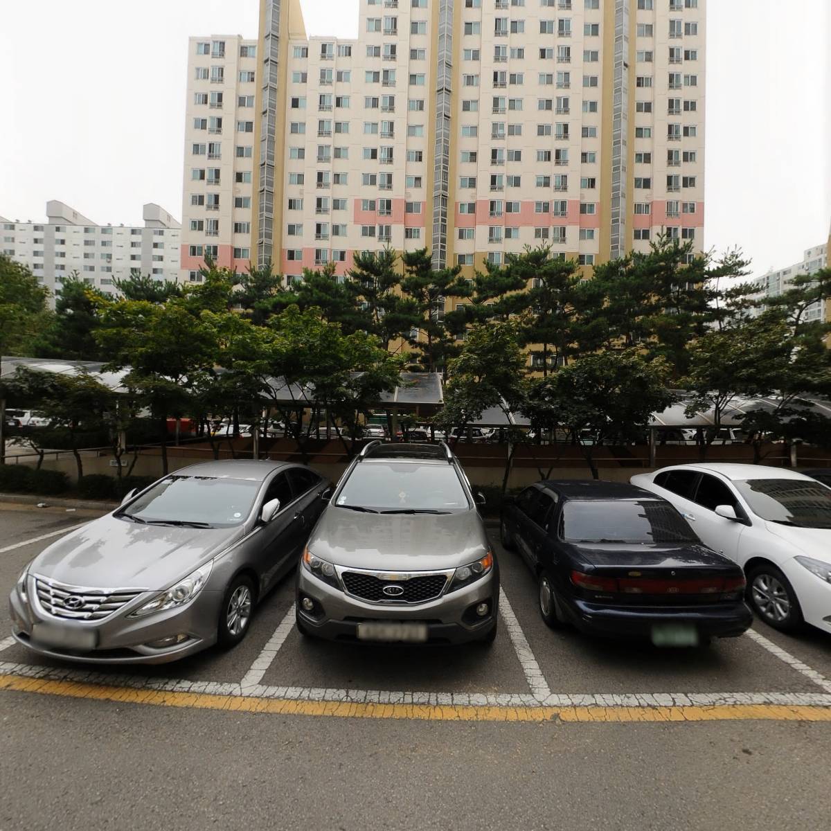 세나뷰티(sena beauty)_3