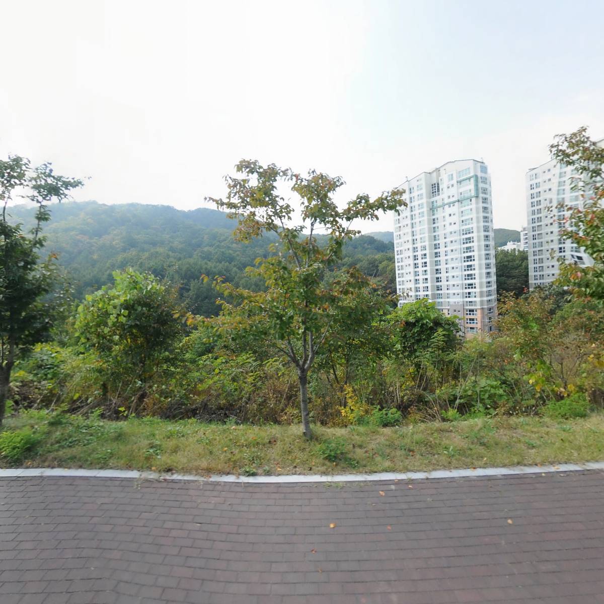 광택박사