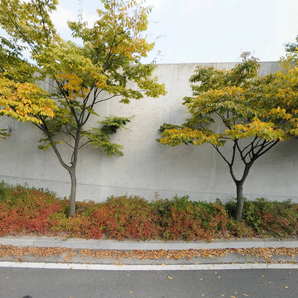 광택박사_3